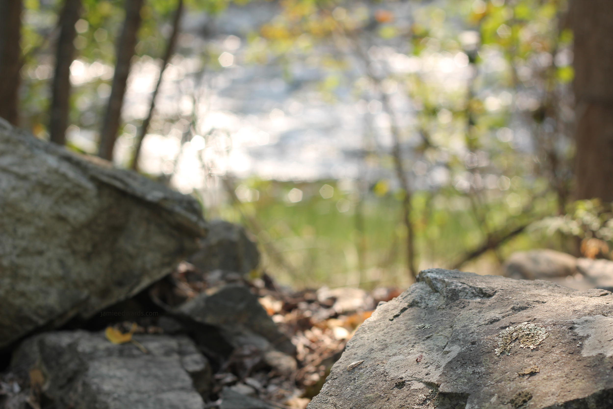 desktop-bg-free – Jamie Edwards